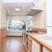 Sat Francez, Aron Cotrus, apartament 3 camere 101 mp, 2005, Parc Herastrau.